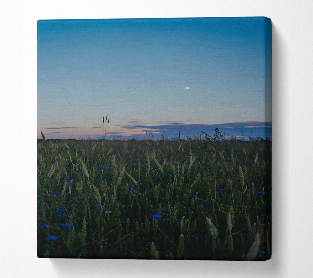  A Canvas Print of Blue Dusk Field Canvas Art