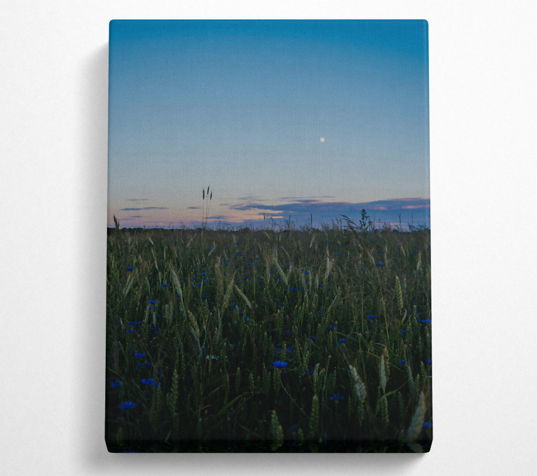  A Canvas Print of Blue Dusk Field Canvas Art