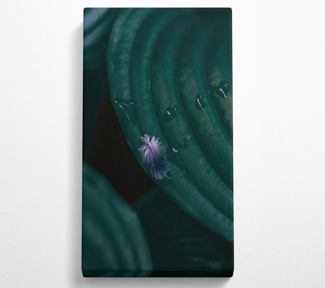  A Canvas Print of Emerald Feather Dream Canvas Print