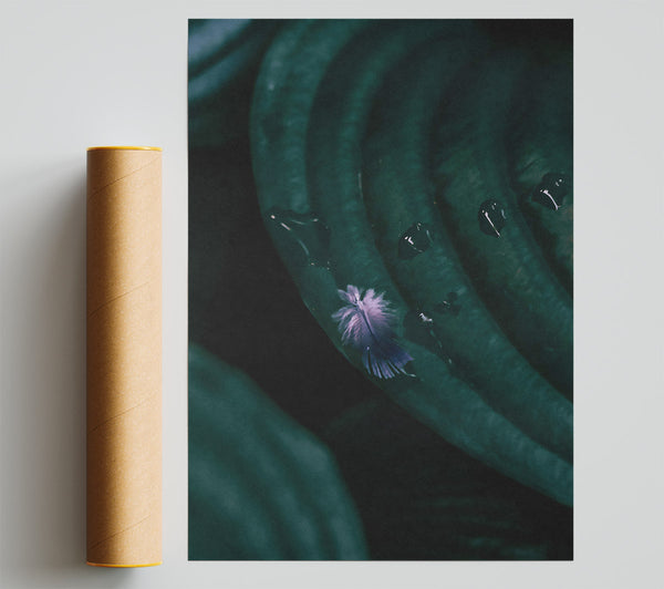 Emerald Feather Dream Poster