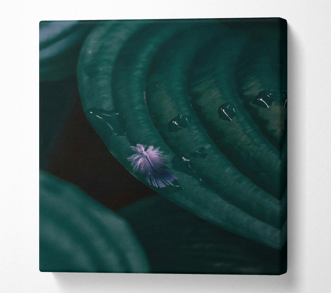  A Canvas Print of Emerald Feather Dream Canvas Print