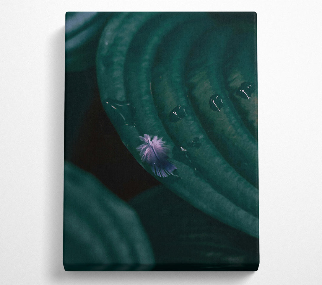  A Canvas Print of Emerald Feather Dream Canvas Print