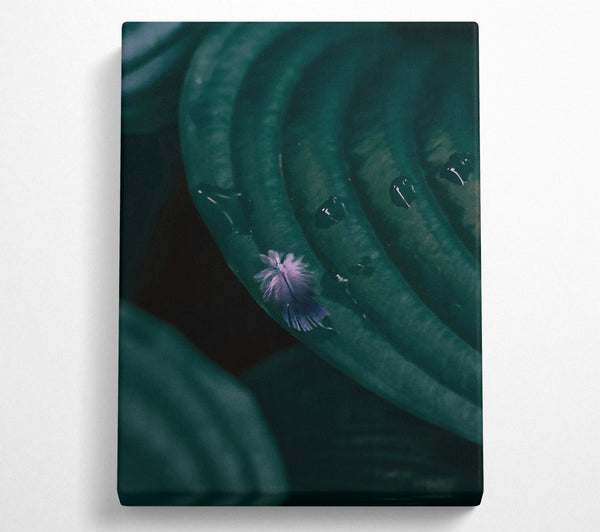  A Canvas Print of Emerald Feather Dream Canvas Print