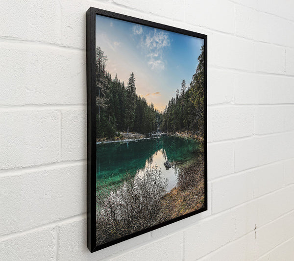Emerald Forest Reflections