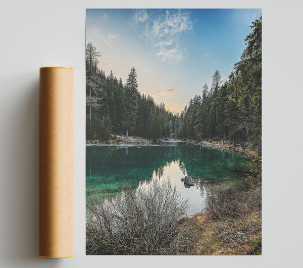 Emerald Forest Reflections Giclee Print