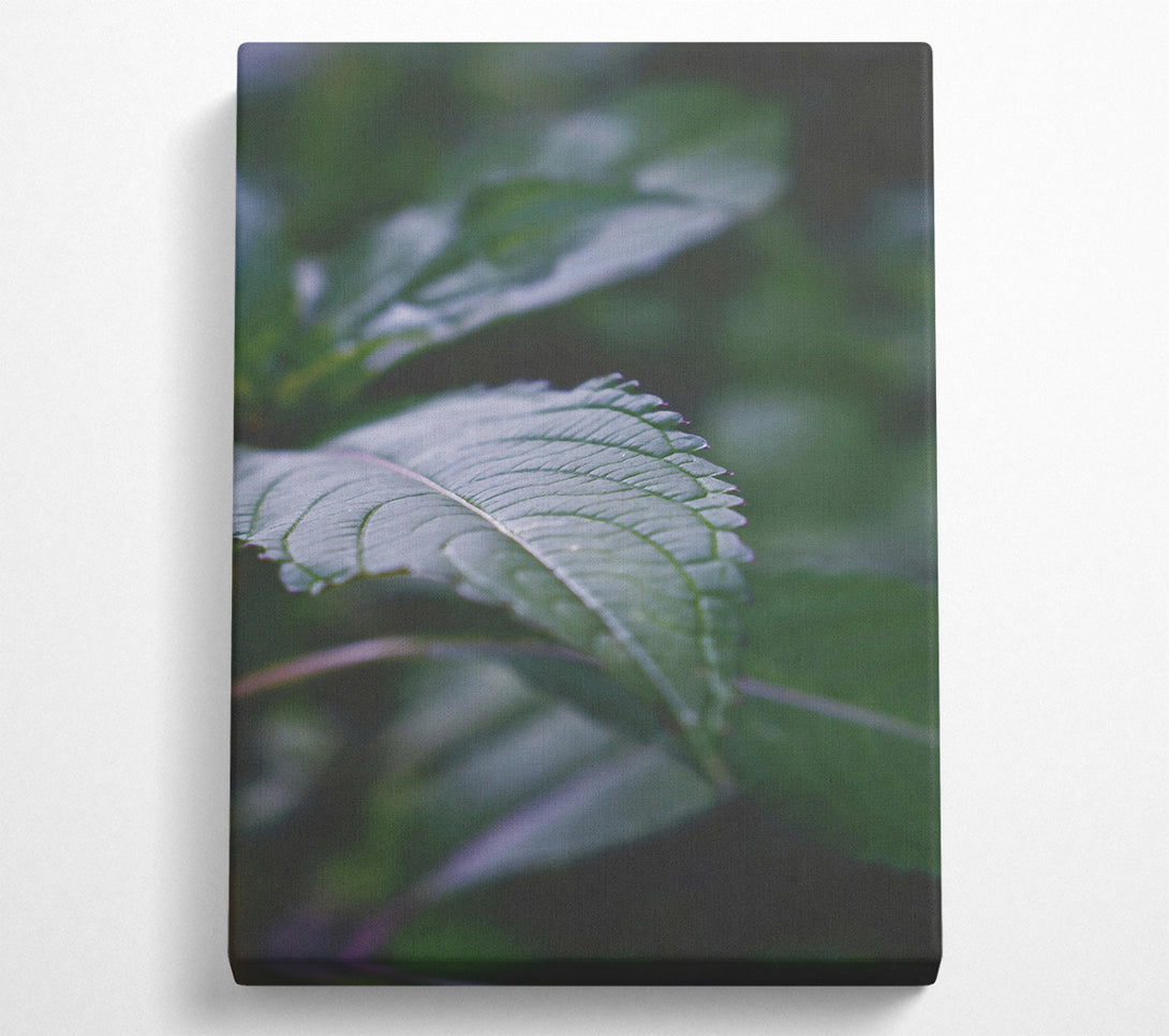  A Canvas Print of Emerald Green Veins Canvas Art