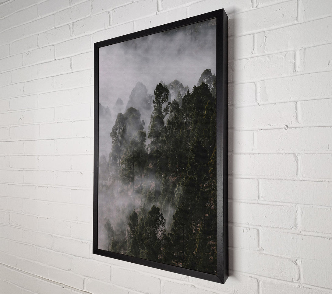  A Canvas Print of Silver Mist Forest Canvas Print