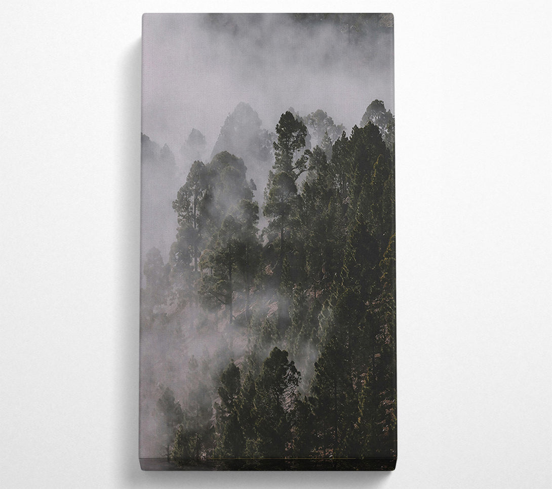  A Canvas Print of Silver Mist Forest Canvas Print