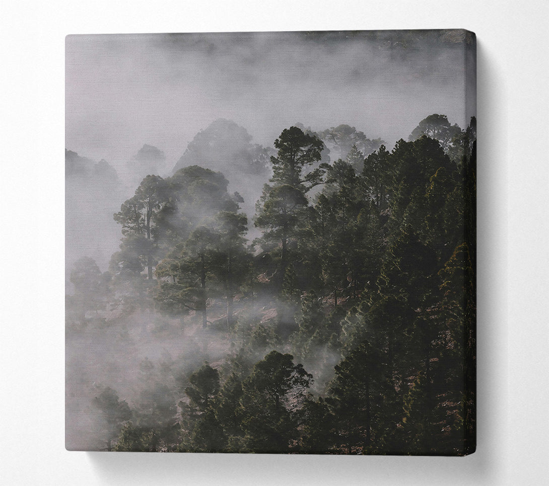  A Canvas Print of Silver Mist Forest Canvas Print