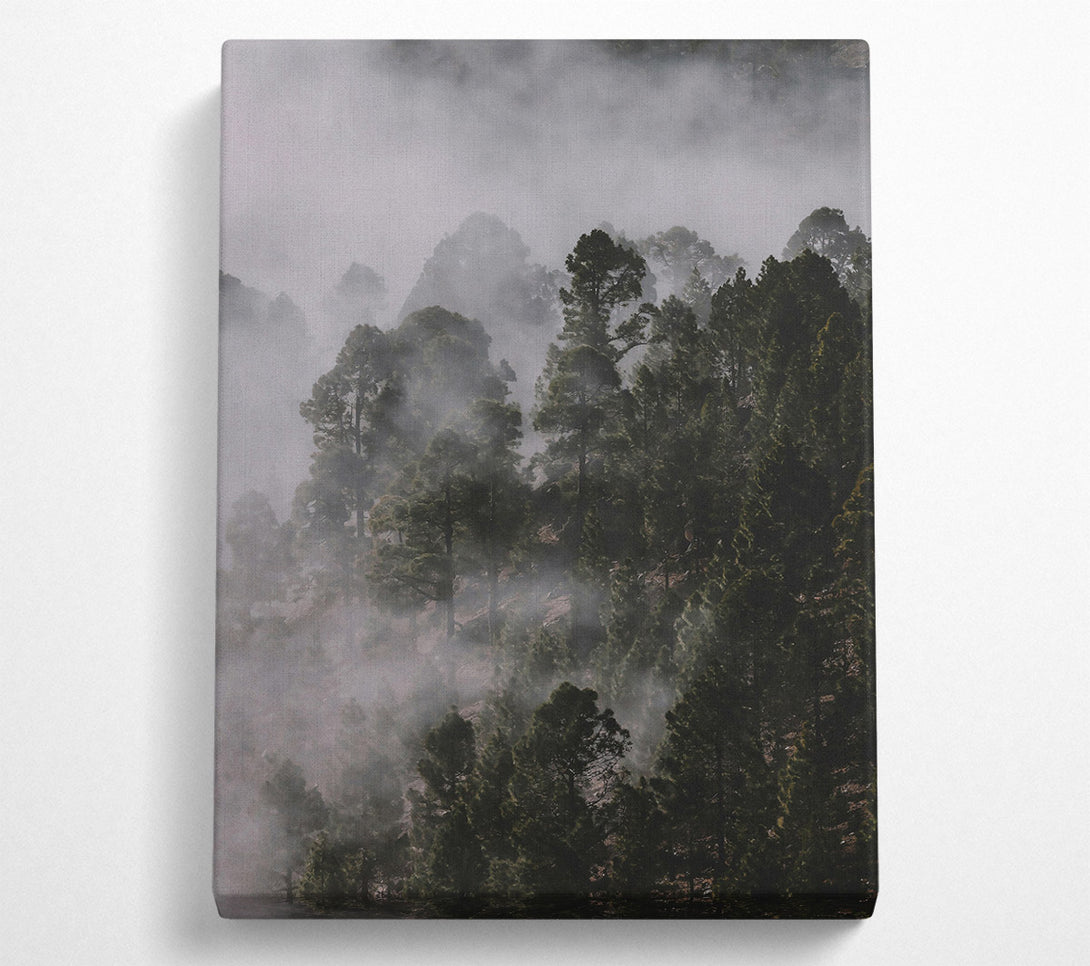  A Canvas Print of Silver Mist Forest Canvas Print