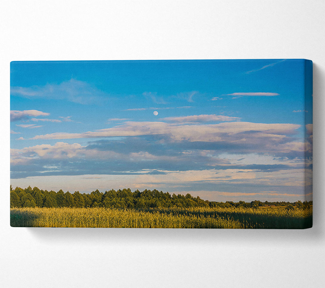  A Canvas Print of Blue Skies And Golden Fields Canvas Print