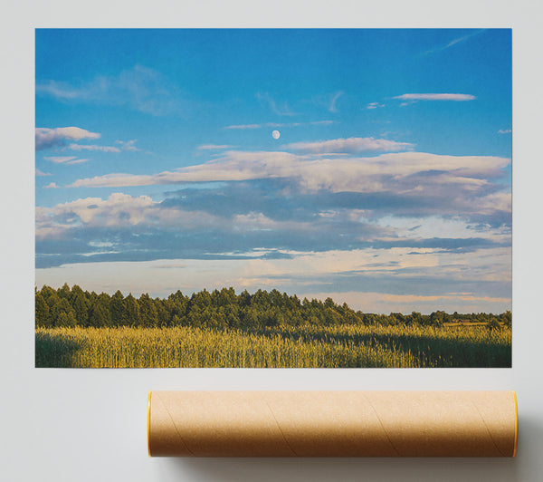 Blue Skies And Golden Fields Poster