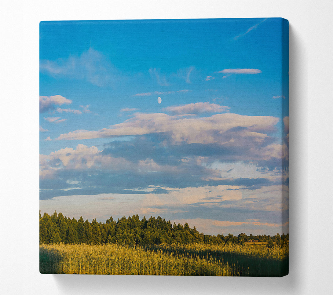  A Canvas Print of Blue Skies And Golden Fields Canvas Print