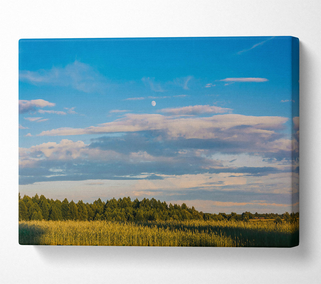  A Canvas Print of Blue Skies And Golden Fields Canvas Print