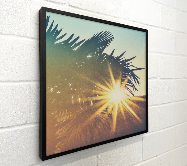 Golden Palm Sunset