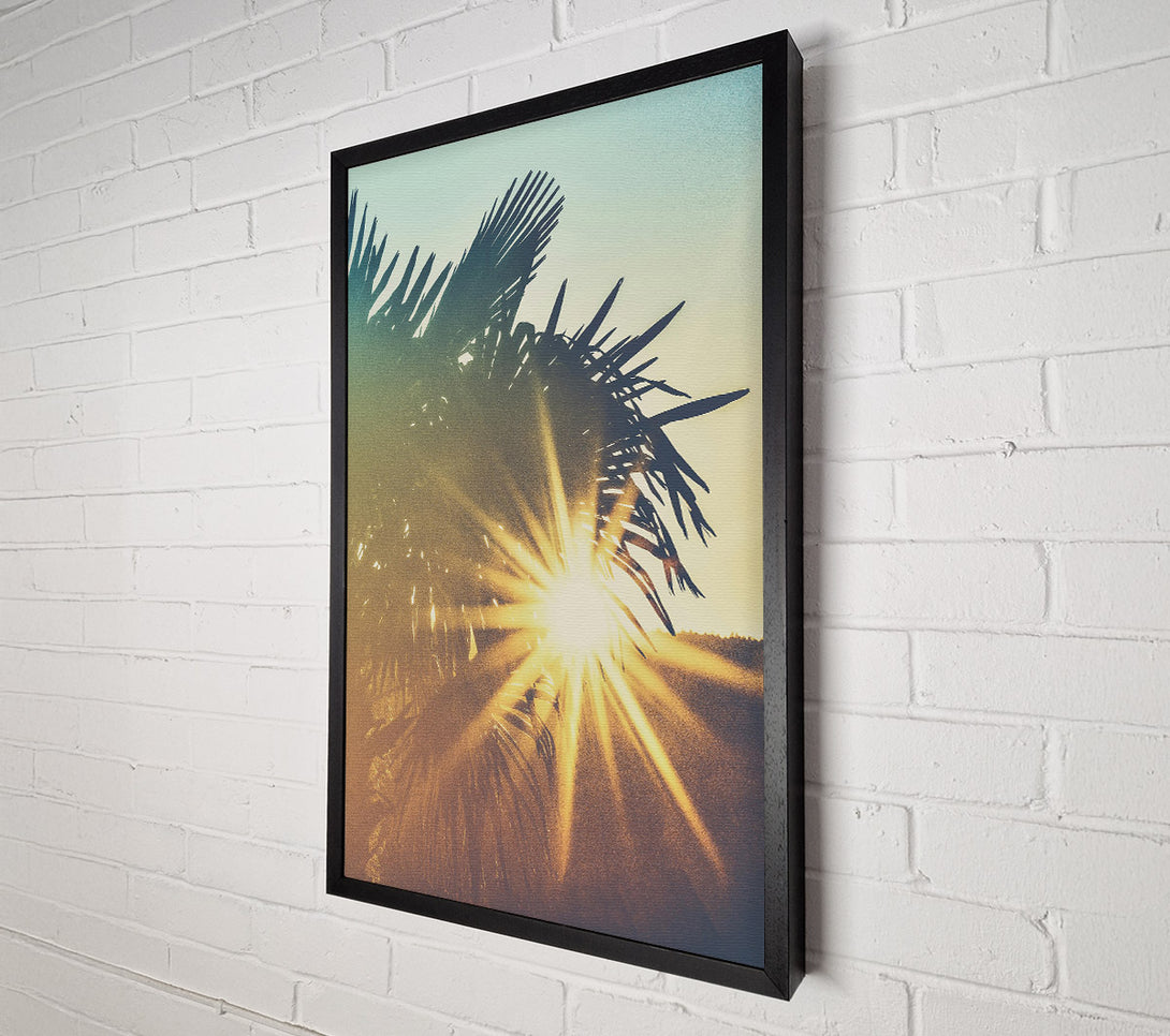  A Canvas Print of Golden Palm Sunset Canvas Print