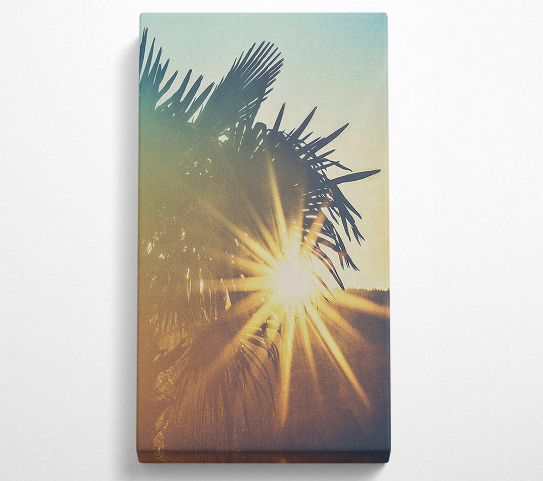  A Canvas Print of Golden Palm Sunset Canvas Print