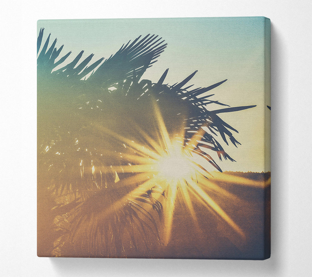  A Canvas Print of Golden Palm Sunset Canvas Print