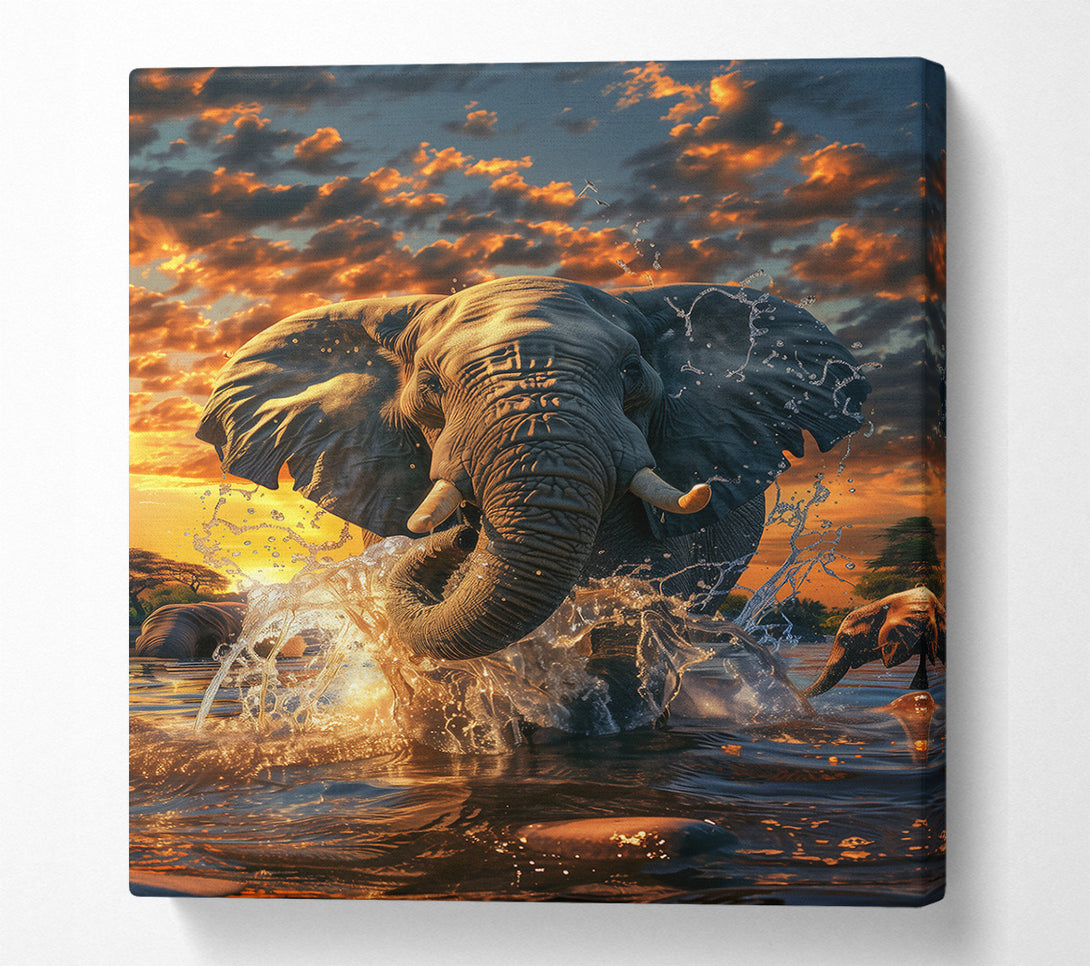  A Canvas Print of Golden Elephant Splash Canvas Art