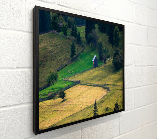 Golden Green Hills