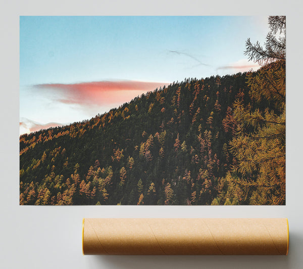Pink Sky Forest Poster