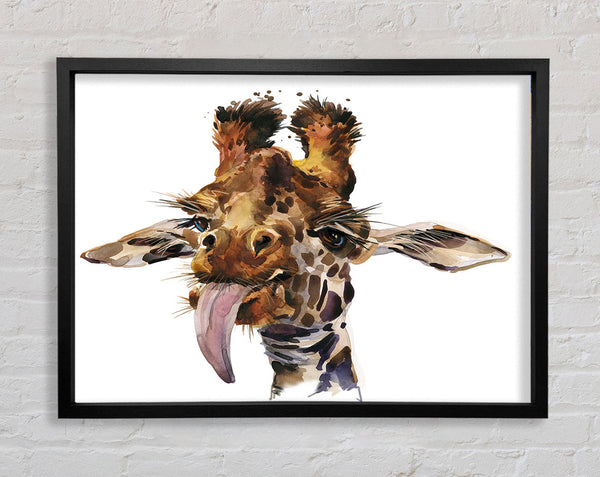 Giraffe Lick Framed Print