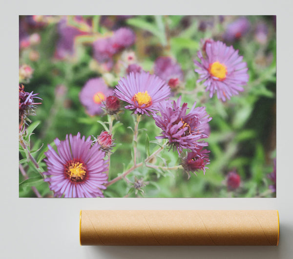 Purple Garden Bloom Print