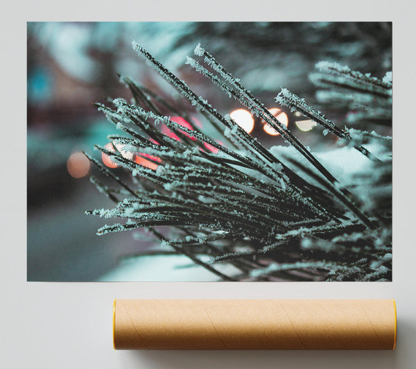 Blue Frosted Branches Poster