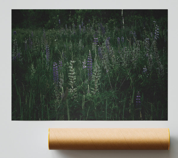 Purple Field Dreams Poster