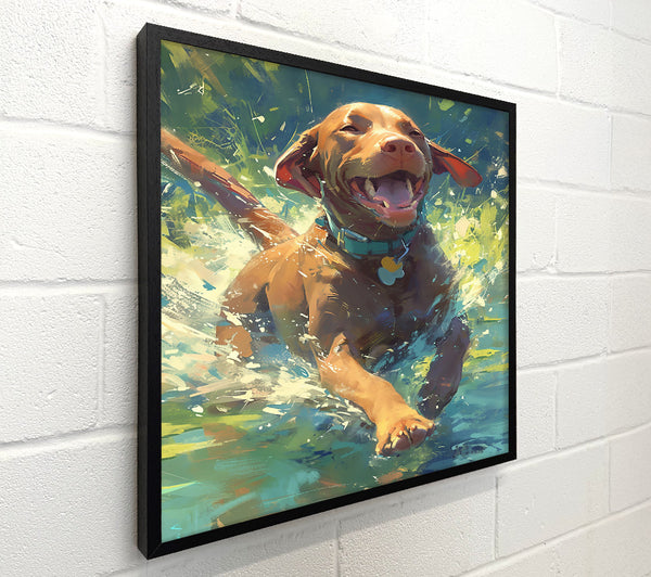 Splashing Brown Joy