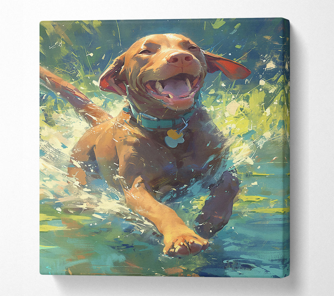  A Canvas Print of Splashing Brown Joy Canvas Print