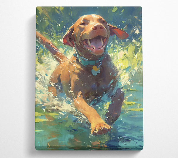  A Canvas Print of Splashing Brown Joy Canvas Print