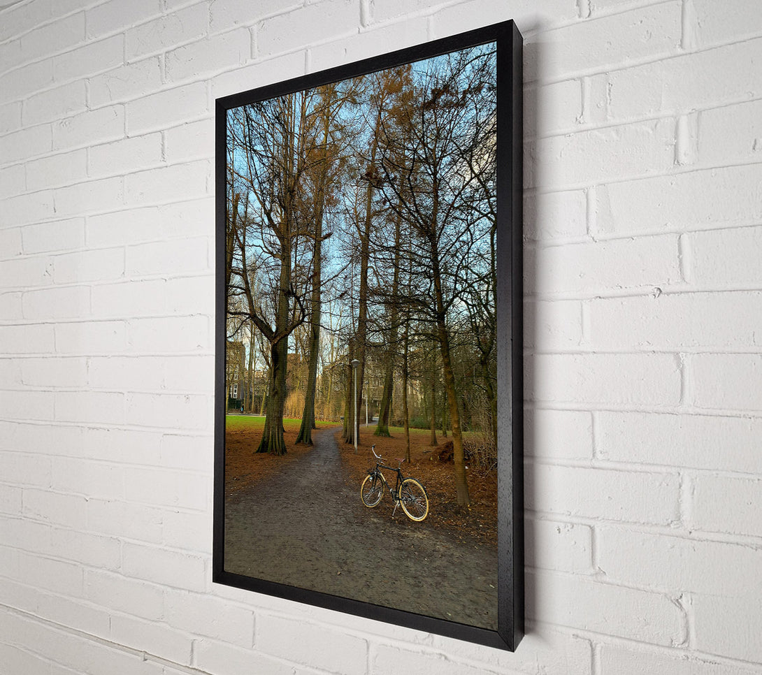  A Canvas Print of Golden Path Through Trees Canvas Print