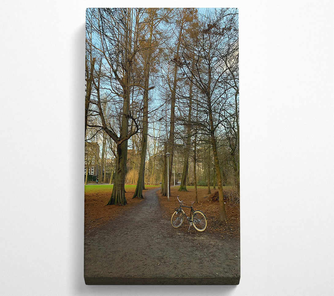  A Canvas Print of Golden Path Through Trees Canvas Print