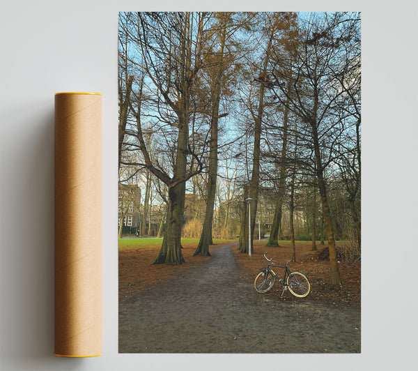 Golden Path Through Trees Print