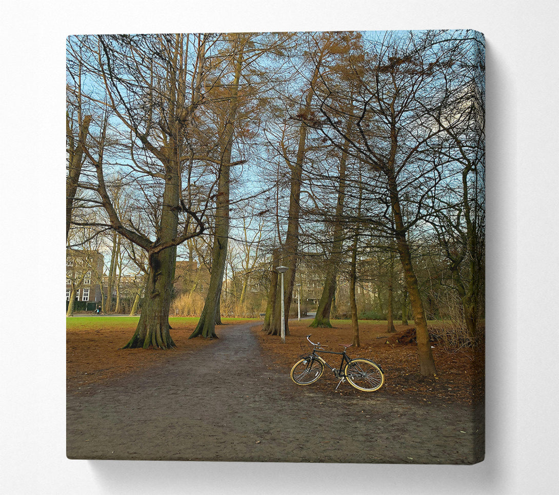  A Canvas Print of Golden Path Through Trees Canvas Print