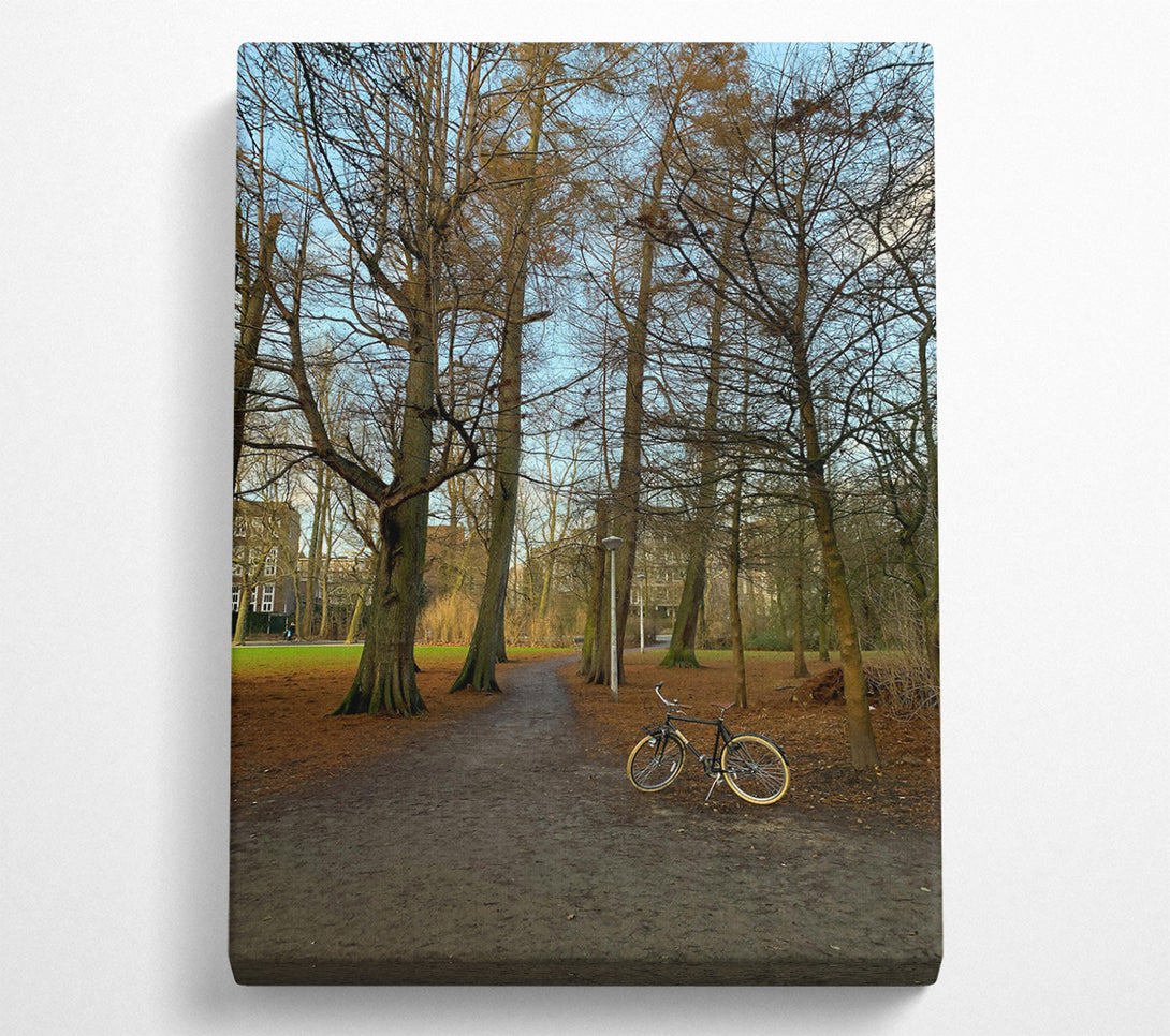  A Canvas Print of Golden Path Through Trees Canvas Print