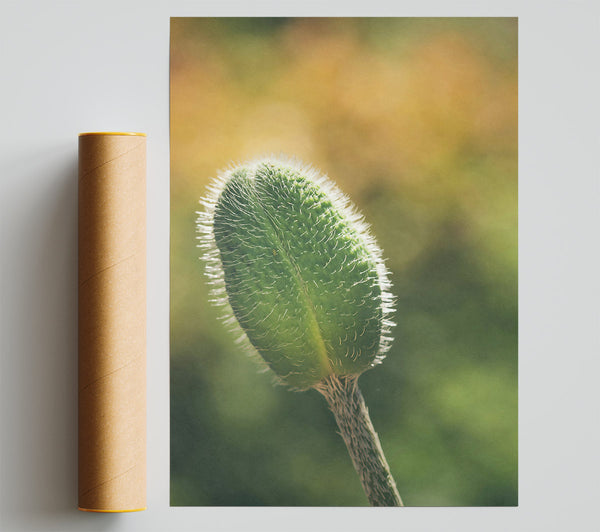 Emerald Budding Bloom Giclee Print