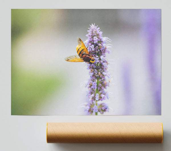Purple Flower Buzz Giclee Print