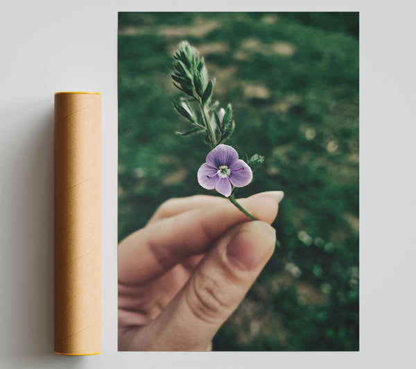 Purple Wildflower Bloom Print