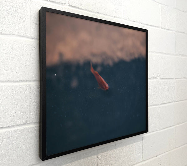Crimson In The Deep