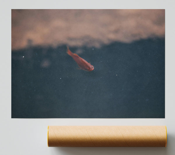 Crimson In The Deep Poster