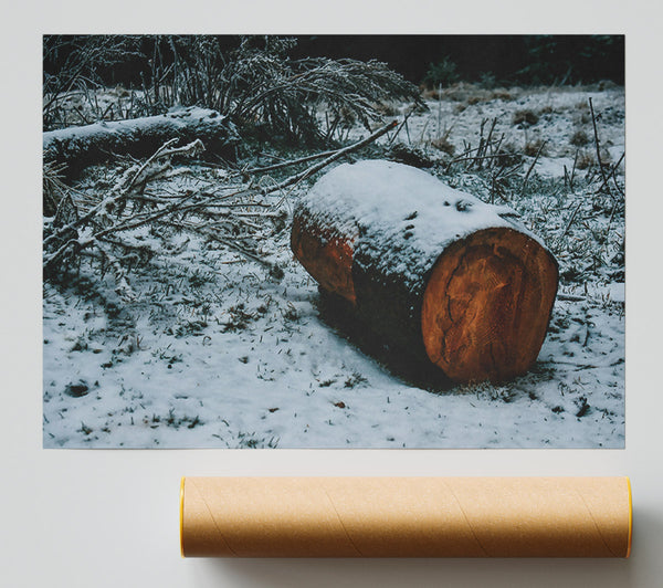 Brown Log In Snowfall Giclee Print