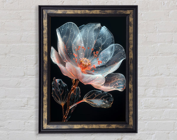 Glass Flower Framed Print