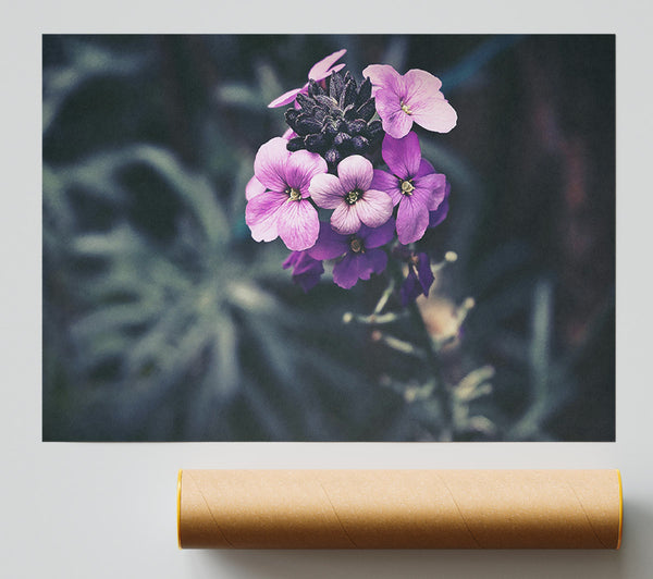 Purple Blooms In Shadow Print