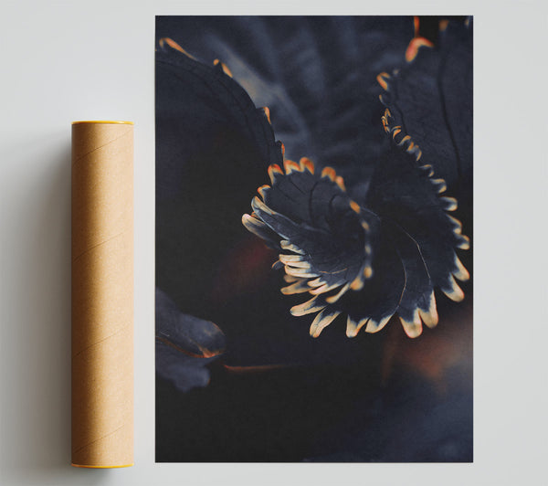 Black And Orange Bloom Print