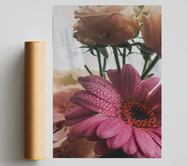Pink Dew Drops Giclee Print