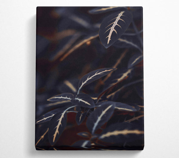  A Canvas Print of Silver Veined Darkness Canvas Wall Art