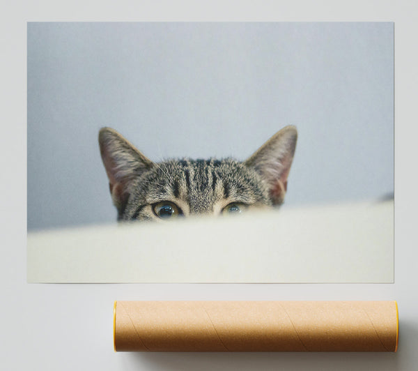 Grey Cat Peeking Giclee Print