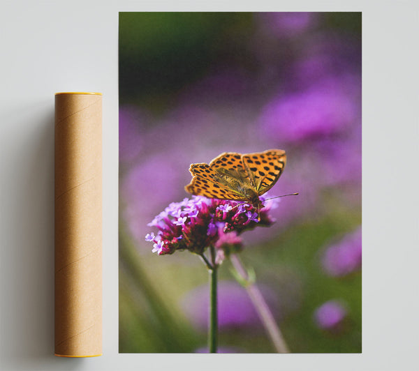 Purple Bloom Butterfly Giclee Print